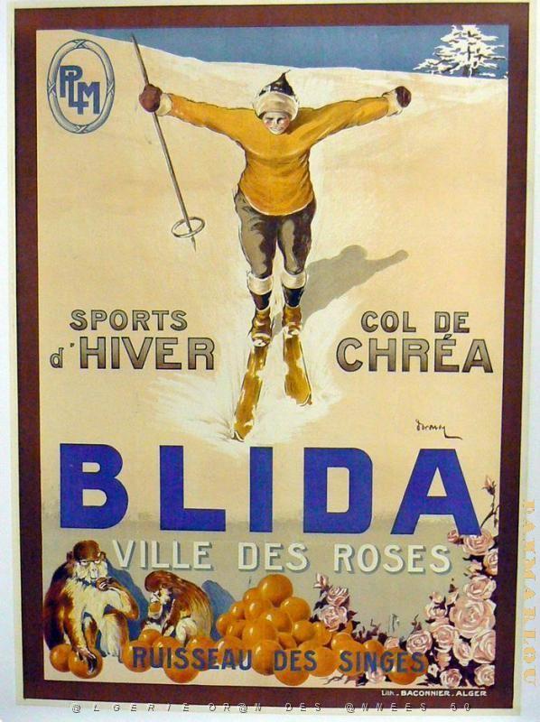 CFA (11).jpg